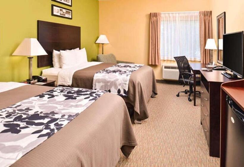 スタンダードルーム, Sleep Inn And Suites Downtown Houston