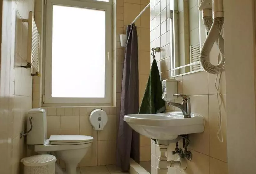اتاق استاندارد با سرویس بهداشتی مشترک, Old City Hostel