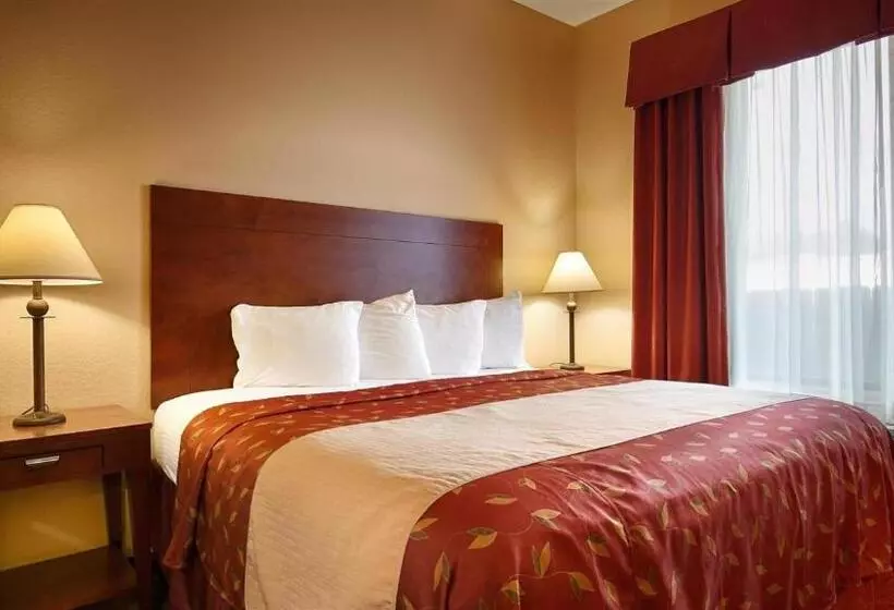 キングサイズベッドのスイートルーム, Americas Best Value Inn & Suites Livingston