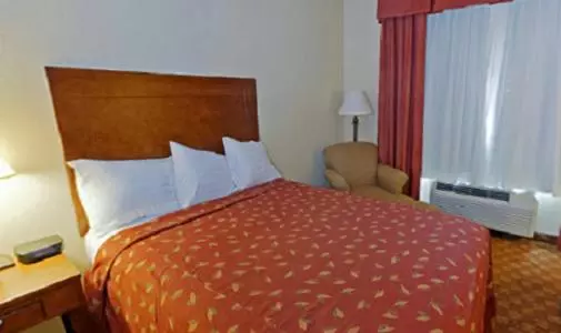 身障者適用キングサイズベッドルーム, Americas Best Value Inn & Suites Livingston