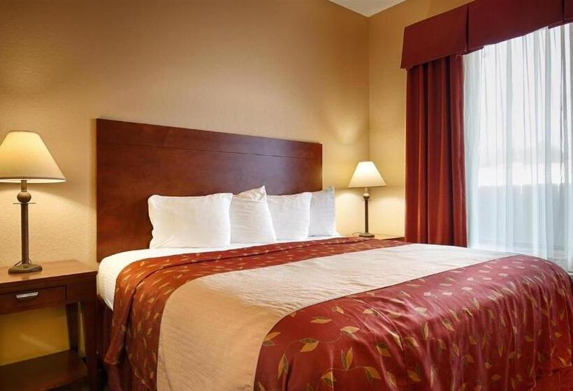 장애인을 위한 킹사이즈 침대 스탠다드 룸, Americas Best Value Inn & Suites Livingston