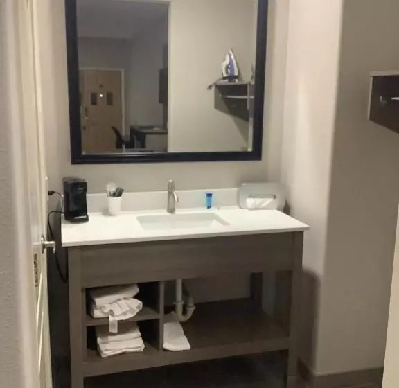 Standard-huone, Americas Best Value Inn & Suites San Benito