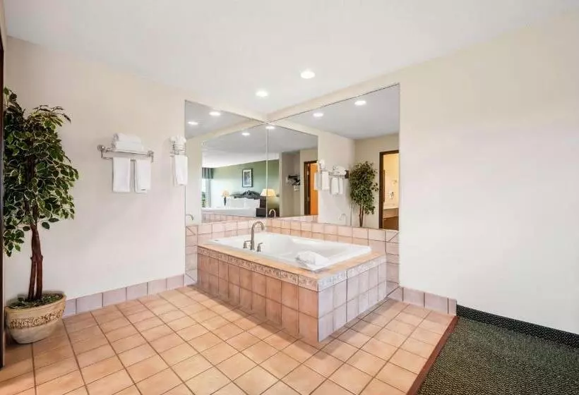 Sviitti King-vuode, Best Western Annawan Inn