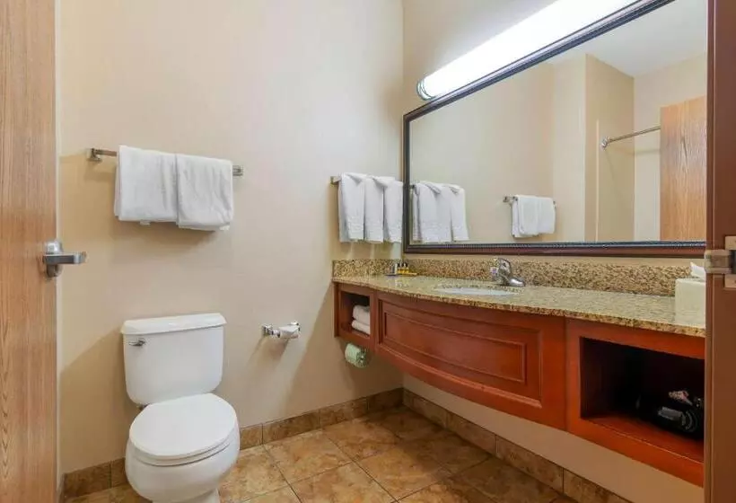اتاق استاندارد, Best Western Plus Butterfield Inn