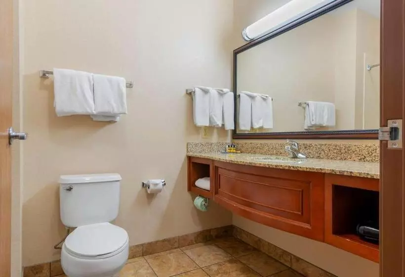 اتاق استاندارد برای معلولان, Best Western Plus Butterfield Inn