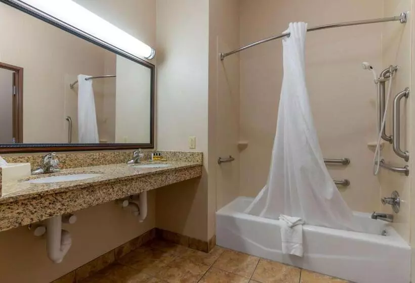 اتاق استاندارد برای معلولان, Best Western Plus Butterfield Inn
