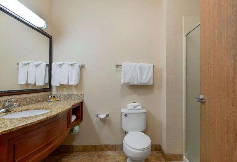 Номер Deluxe Кровать Кинг, Best Western Plus Butterfield Inn