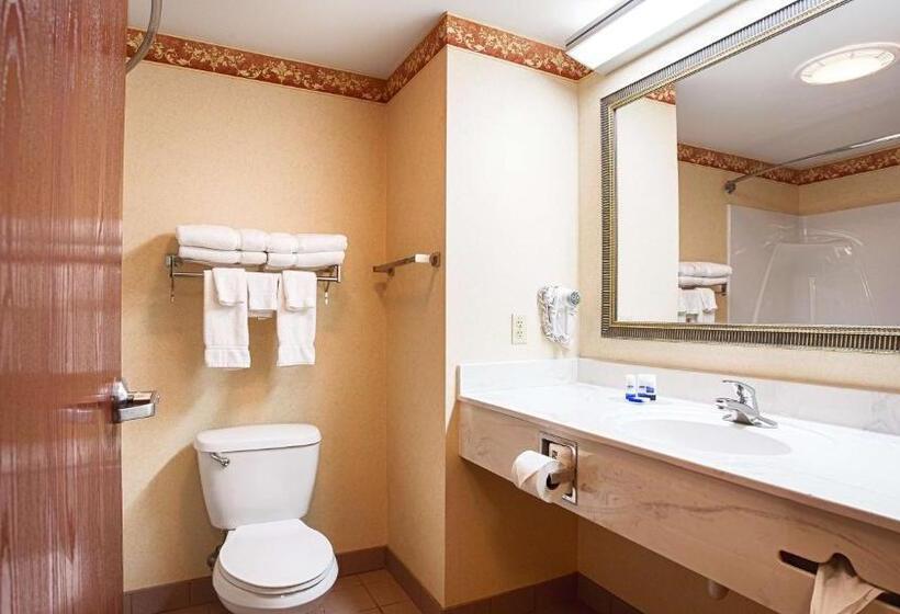 غرفة قياسية سرير كينج, Best Western Danville Inn