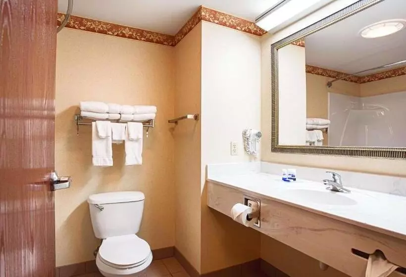身障者適用キングサイズベッドルーム, Best Western Danville Inn