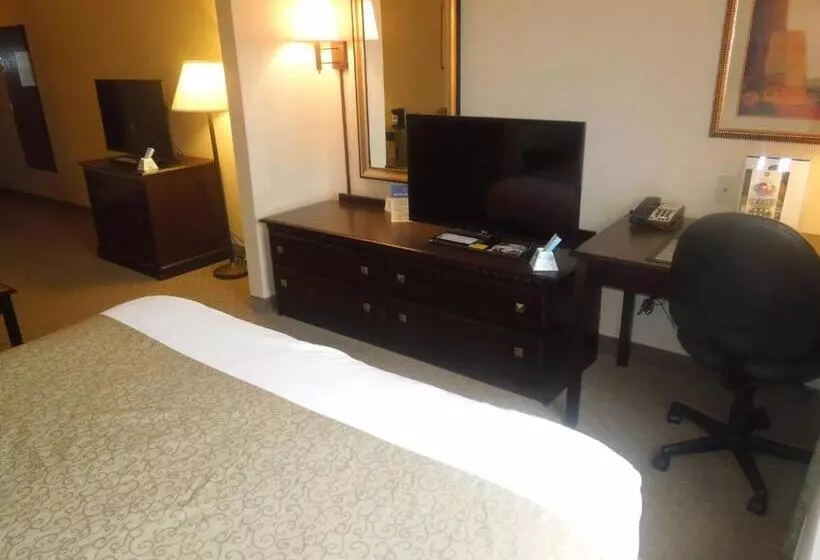 身障者適用キングサイズベッドルーム, Best Western Danville Inn