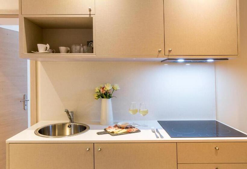 스탠다드 스튜디오 (전망), Best Western Hotel Du Roy D Aragon