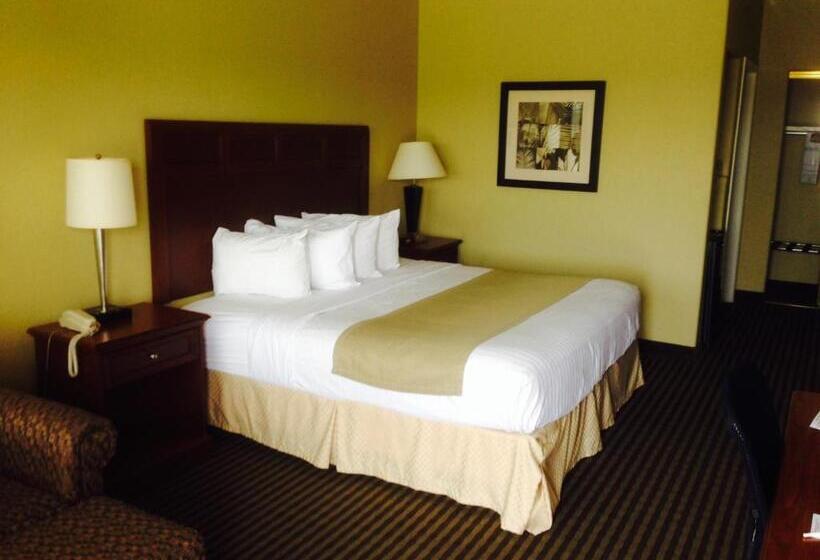 Номер Стандарт Кровать Кинг Адаптированный для Инвалидов, Best Western Hebbronville Inn
