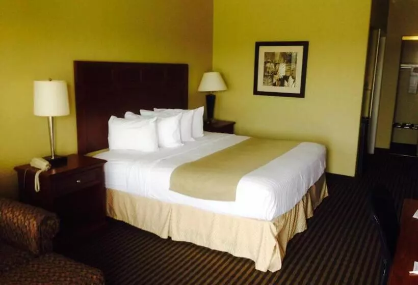 身障者適用キングサイズベッドルーム, Best Western Hebbronville Inn