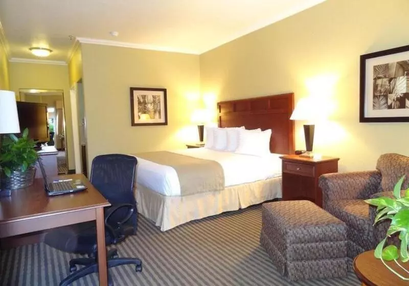身障者適用キングサイズベッドルーム, Best Western Hebbronville Inn