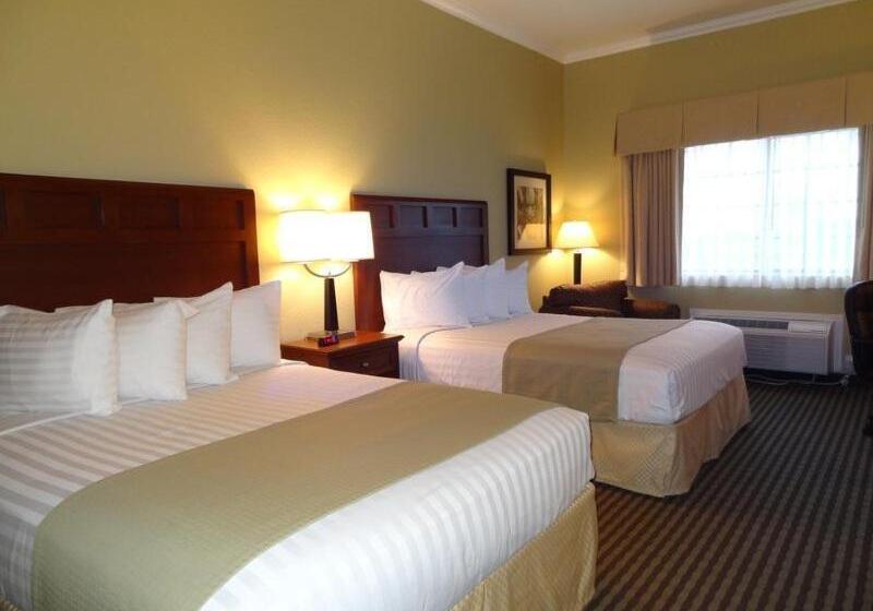 Номер Стандарт Адаптированный для Инвалидов, Best Western Hebbronville Inn