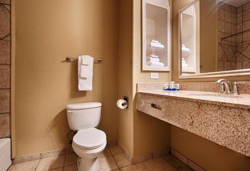 Номер Стандарт Адаптированный для Инвалидов, Best Western Hebbronville Inn