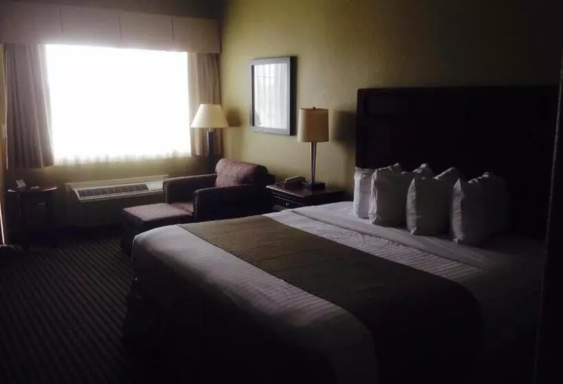 キングサイズベッドのスタンダードルーム, Best Western Hebbronville Inn