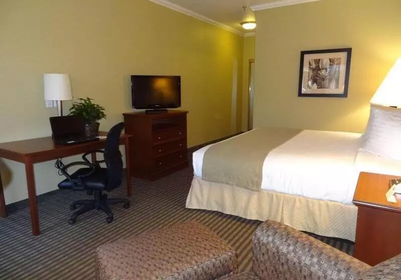キングサイズベッドのスタンダードルーム, Best Western Hebbronville Inn