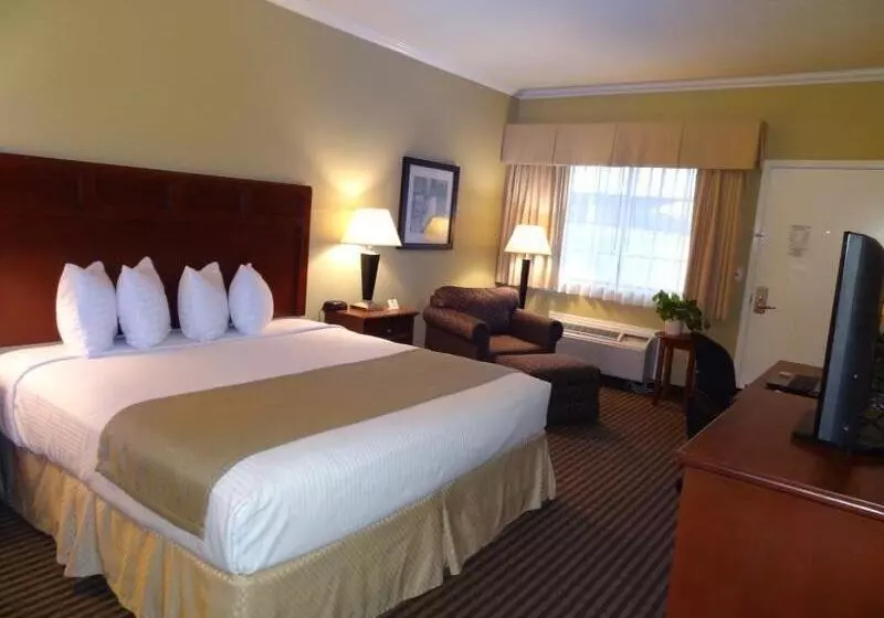 キングサイズベッドのスタンダードルーム, Best Western Hebbronville Inn