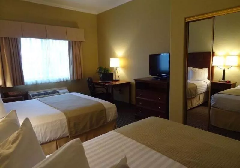 スタンダードルーム, Best Western Hebbronville Inn