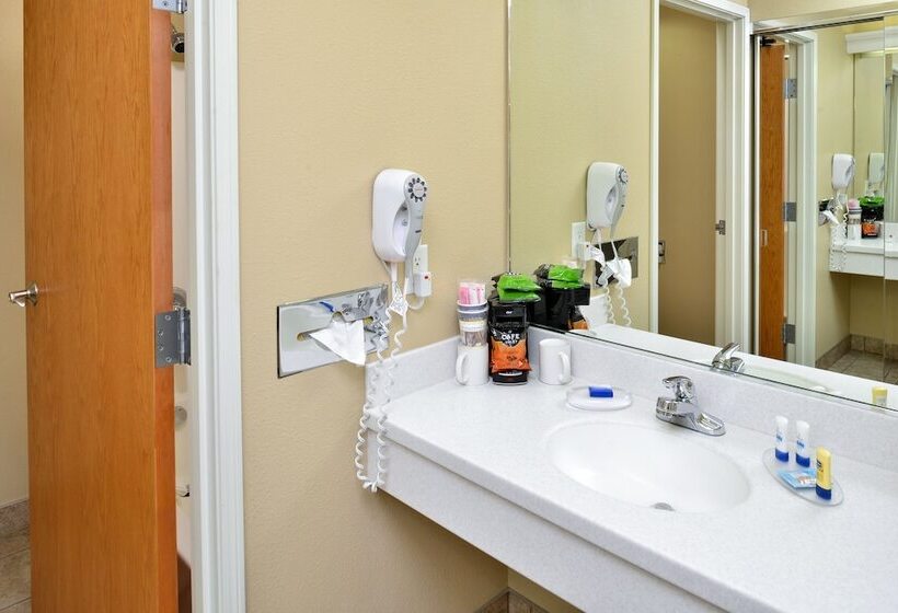 带2个双人床的标准工作室, Best Western Lodge At River S Edge