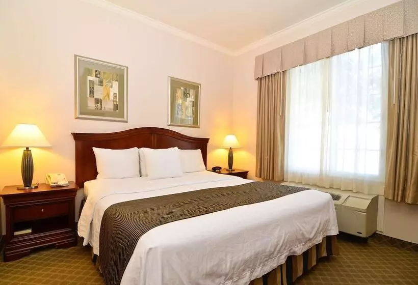 ハイドロマッサージバス付きスイート, Best Western Plus Country Park