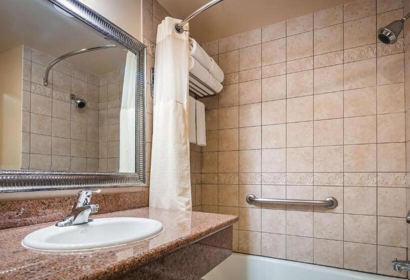 Номер Стандарт Адаптированный для Инвалидов, Best Western Plus Country Park