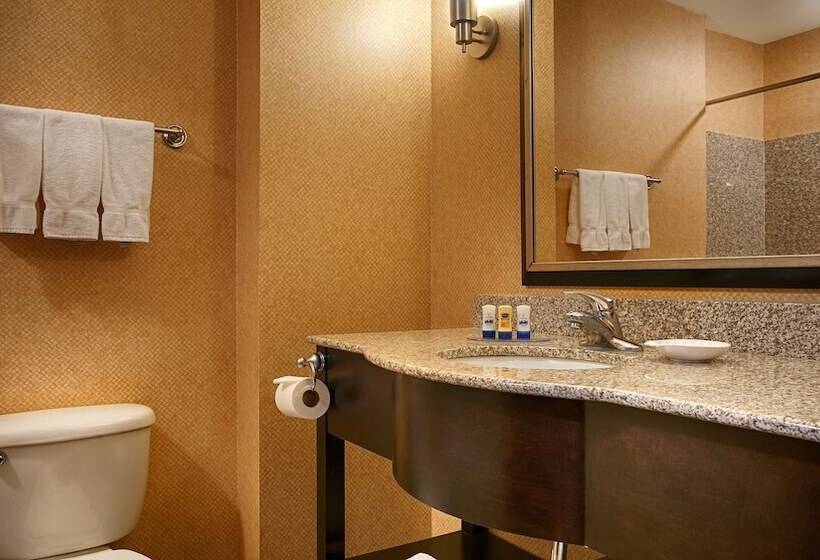 Люкс, Best Western Plus Flowood Inn & Suites