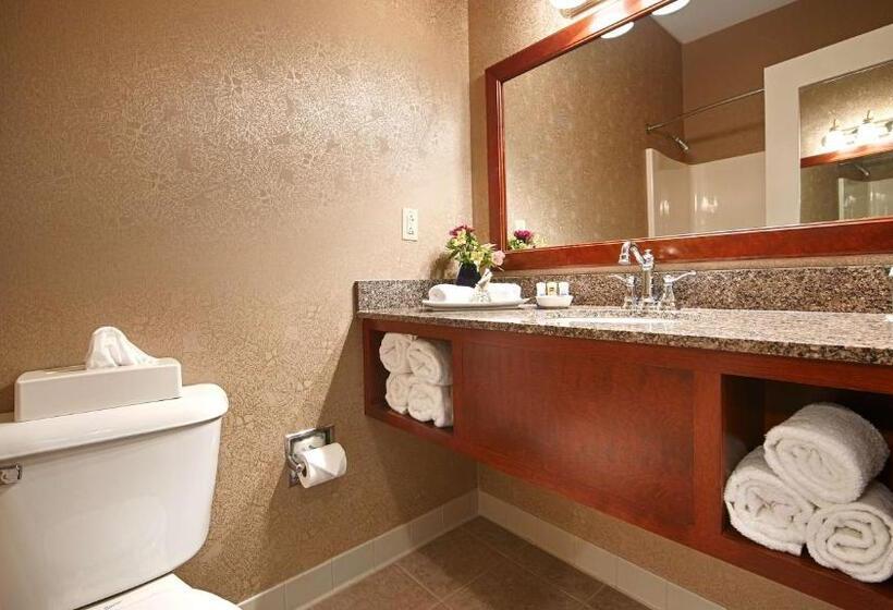 Люкс Кровать Кинг, Best Western Plus Mentor Cleveland Northeast