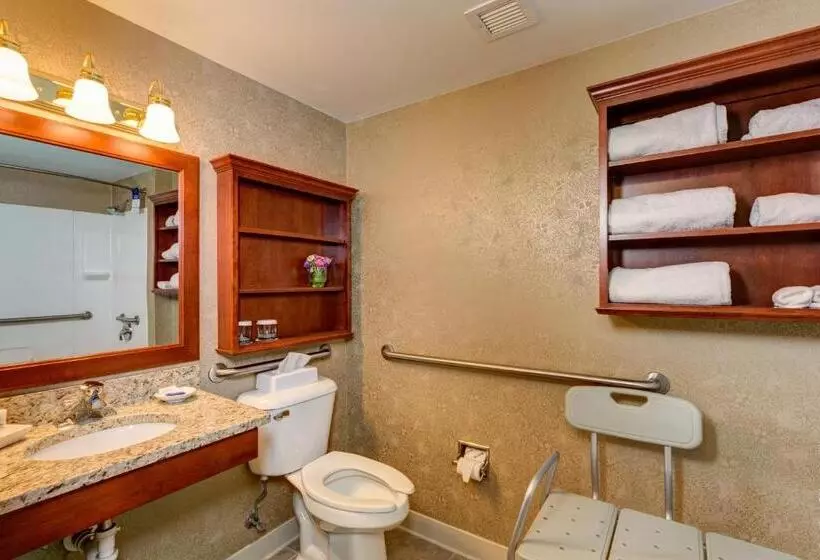 身障者適用スタンダードルーム, Best Western Plus Mentor Cleveland Northeast