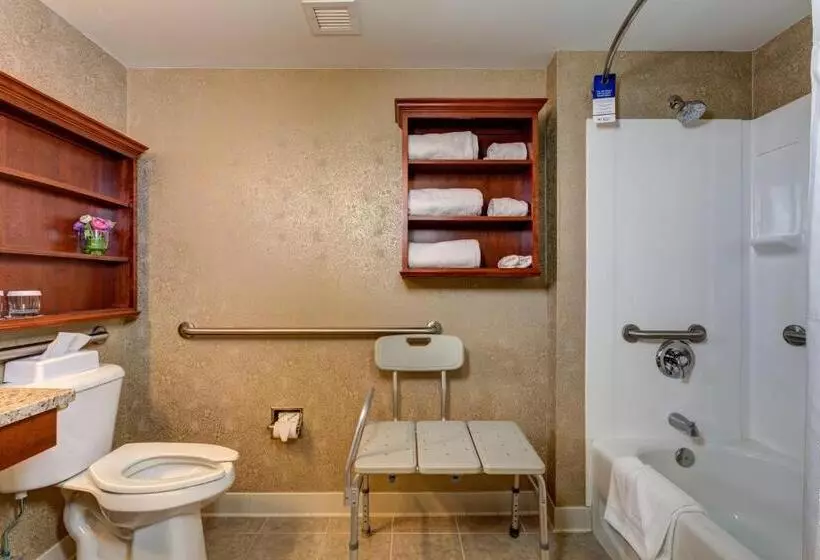 身障者適用スタンダードルーム, Best Western Plus Mentor Cleveland Northeast