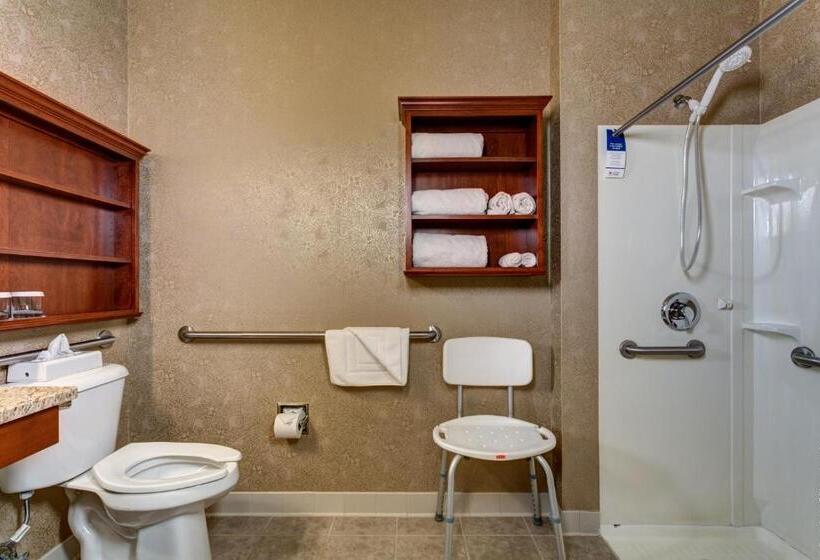 Номер Стандарт Адаптированный для Инвалидов, Best Western Plus Mentor Cleveland Northeast