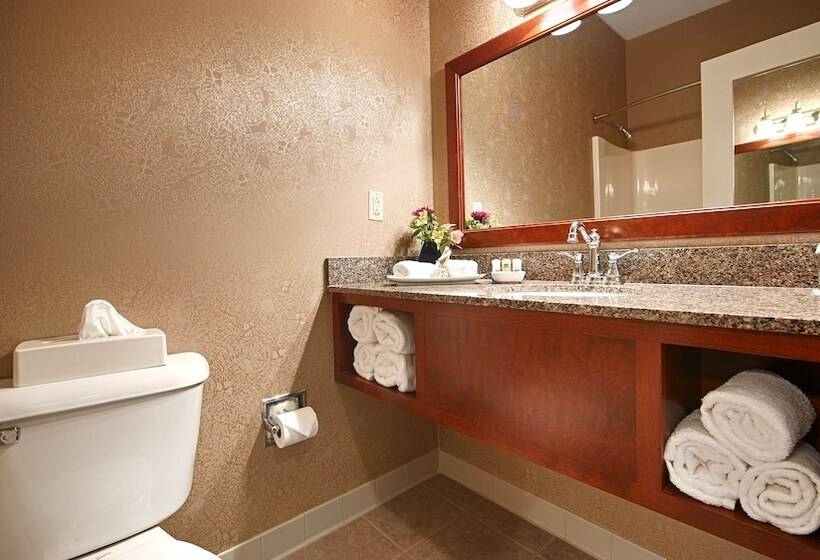 Номер Стандарт 2 Двуспальные Кровати, Best Western Plus Mentor Cleveland Northeast