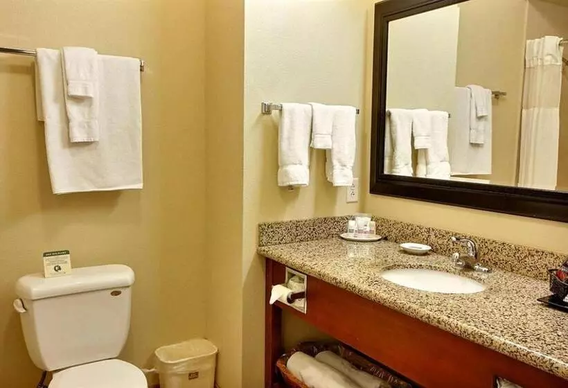 キングサイズベッドのスイートルーム, Best Western Plus Montezuma Inn And Suites