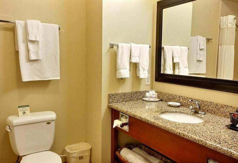 Номер Стандарт Адаптированный для Инвалидов, Best Western Plus Montezuma Inn And Suites