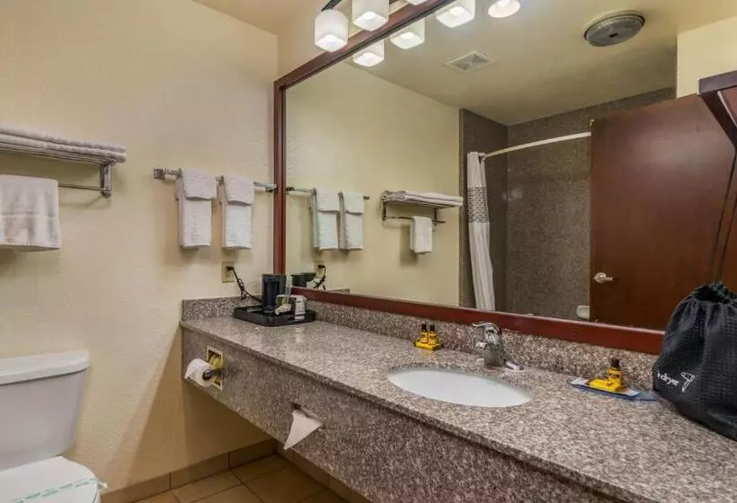 スタンダードルーム, Best Western Plus Shamrock Inn & Suites