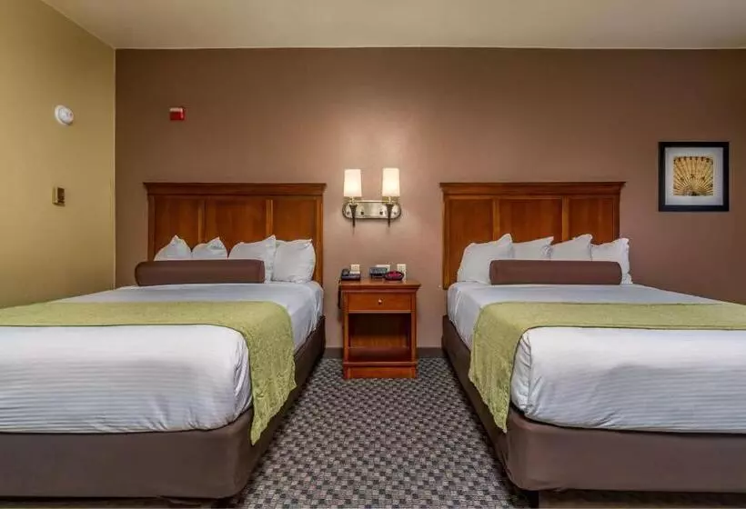 スタンダードルーム, Best Western Plus Shamrock Inn & Suites