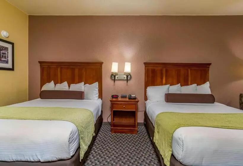 スタンダードルーム, Best Western Plus Shamrock Inn & Suites