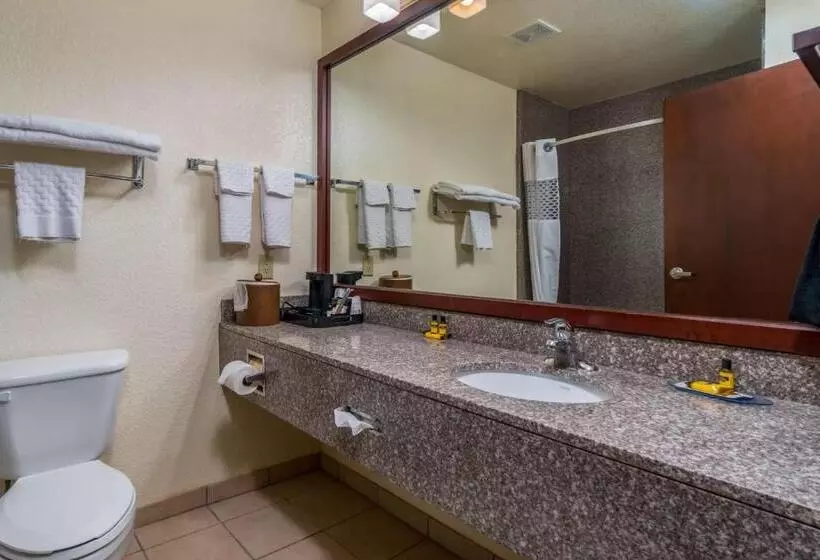 キングサイズベッドのスタンダードルーム, Best Western Plus Shamrock Inn & Suites