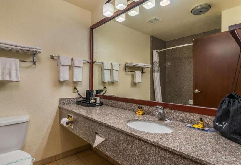 Стандартный Номер Кровать Кинг, Best Western Plus Shamrock Inn & Suites