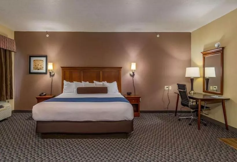キングサイズベッドのスイートルーム, Best Western Plus Shamrock Inn & Suites