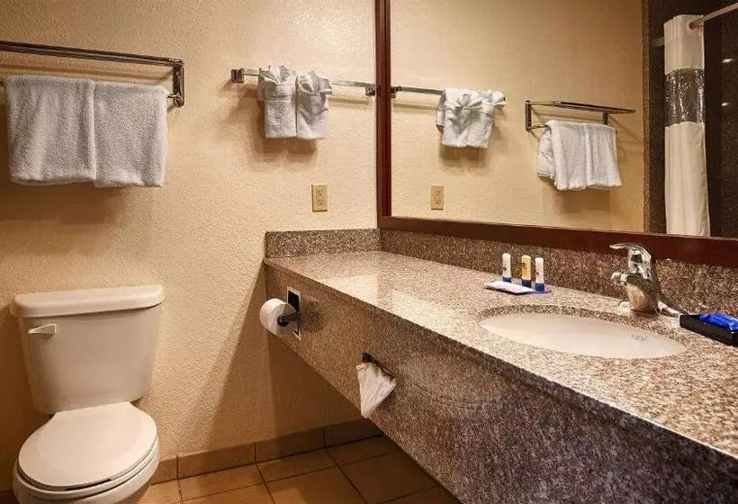 デラックスルーム, Best Western Plus Shamrock Inn & Suites