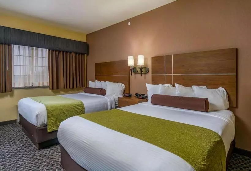 デラックスルーム, Best Western Plus Shamrock Inn & Suites