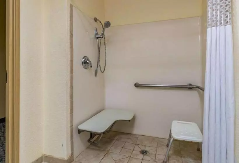 身障者適用キングサイズベッドルーム, Best Western Plus Shamrock Inn & Suites