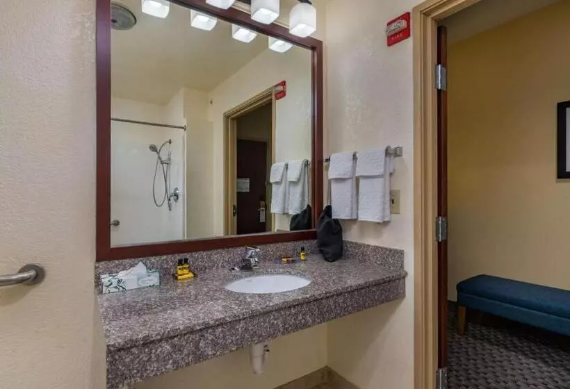 身障者適用キングサイズベッドルーム, Best Western Plus Shamrock Inn & Suites