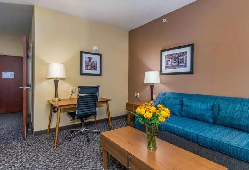 身障者適用キングサイズベッドルーム, Best Western Plus Shamrock Inn & Suites