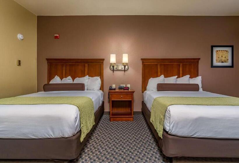 Номер Стандарт Кровать Квин Адаптированный для Инвалидов, Best Western Plus Shamrock Inn & Suites