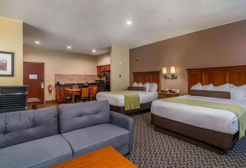 身障者適用クイーンサイズベッドルーム, Best Western Plus Shamrock Inn & Suites