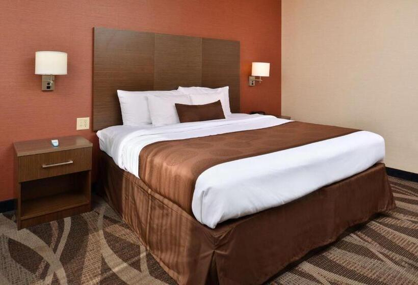 Стандартный Номер Кровать Кинг, Best Western Plus University Inn