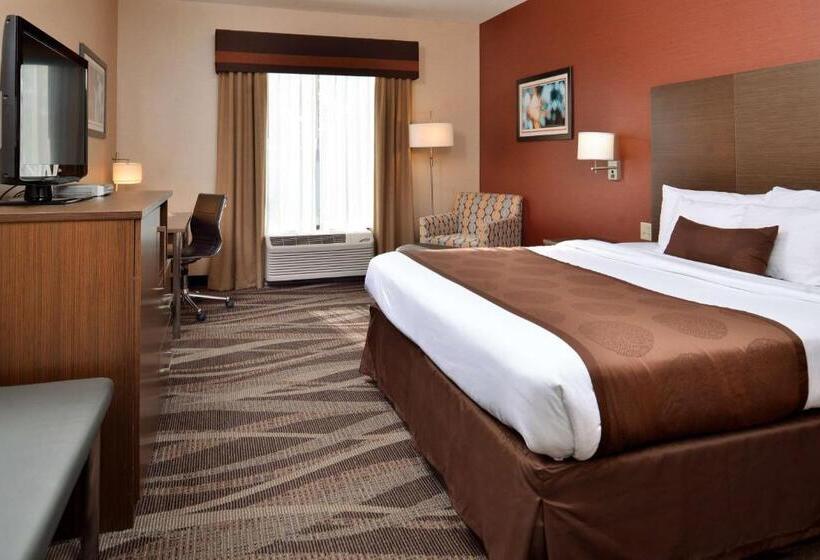 带大床的标准间, Best Western Plus University Inn
